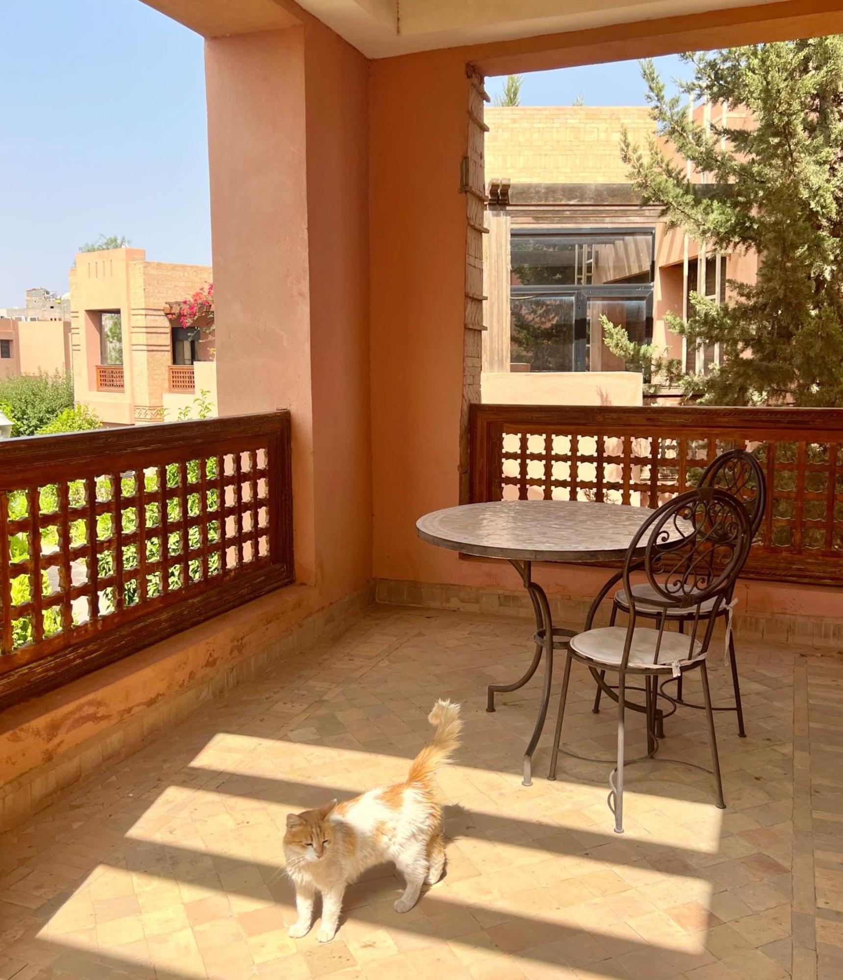 Luminous With Pool View Appartement